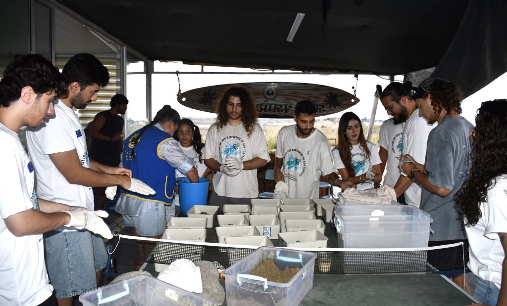 Daü-SAGEM öncülüğünde yavru deniz kaplumbağaları deniz ile buluştu
