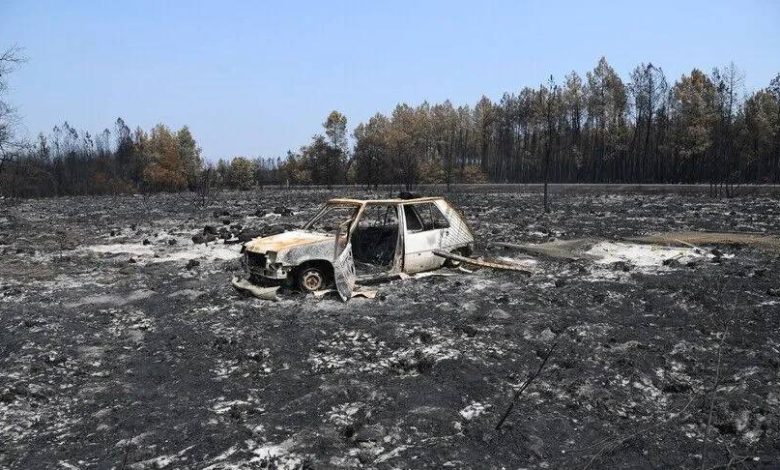 Fransa'nın Aude ilindeki orman yangınında 225 hektarlık alan küle döndü