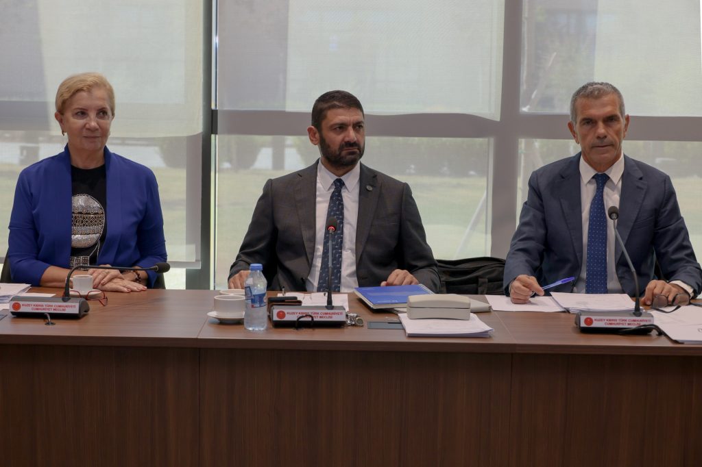 Gemi faciasının araştırılmasına ilişkin Meclis araştırma komitesi toplandı