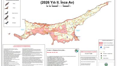 İnce Av Sezonu, pazar günü başlıyor