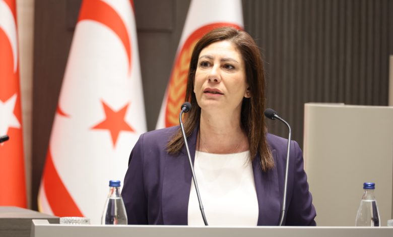 İncirli'nin fiber optik projesiyle ilgili meclis konuşması...
