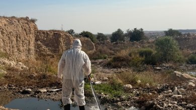 İskele Belediyesi, Batı Nil virüsüne karşı sahadaki ilaçlama faaliyetlerini arttırdı
