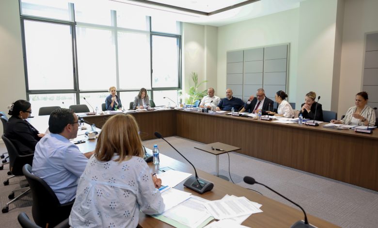 “Kamu Mali Yönetimi ve Kontrol (Değişiklik) Yasa Tasarısı” komitede onaylanarak Genel Kurul’a sevk edildi