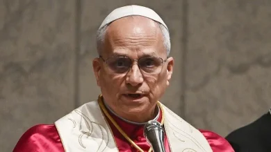 Papa 14. Leo yapay zeka konusunda endişelerin ciddiye alınması gerektiğini söyledi