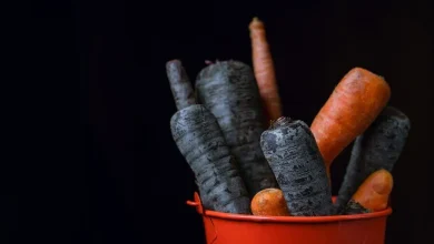 Siyah havuçlu şalgam suyundan izole edilen bakterinin kanser hücrelerini azalttığı belirlendi