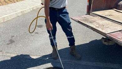 Tatlısu Belediyesi, Batı Nil Virüsü’ne karşı sivrisinekle mücadele çalışmalarını yoğunlaştırdı
