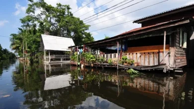 Tayland'ın başkenti Bangkok'taki 50 bölgenin tamamı afet bölgesi ilan edildi