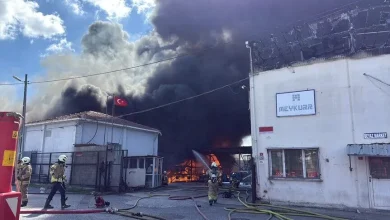 Tuzla'da lojistik depoda yangın: Kereste deposuna ve ağaçlık alana sıçradı