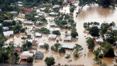 WMO’dan El Nino raporu: Şubat 2027'ye kadar sürecek, kaybedecek zamanımız yok