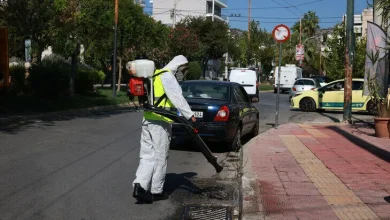 Yunanistan'da bir haftada 34 yeni Batı Nil virüsü vakası