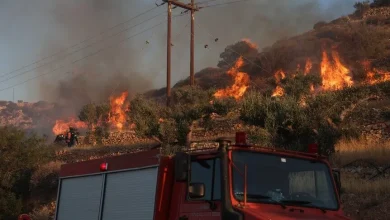 Yunanistan'ın Eğriboz Adası'nda orman yangını çıktı
