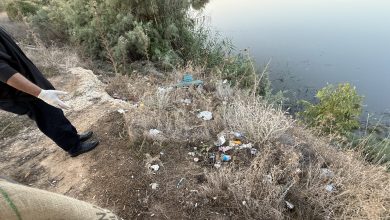 Ayluga Sulak Alanı’nda temizlik ve kuş gözlemi etkinliği düzenlendi