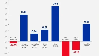 Bu hafta yatırım araçlarının performansı...