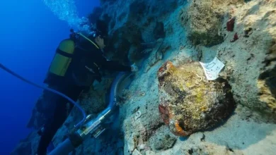 Dünyanın en eski gemi batığı Antalya'da keşfedildi