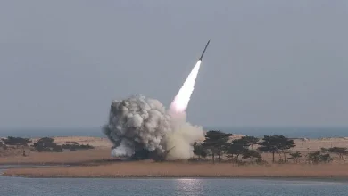 Güney Kore: Kuzey Kore, Doğu Denizi yönüne balistik füze fırlattı
