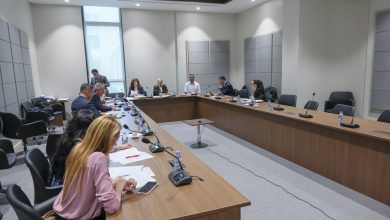 Güvenlik kamu görevlileri ve motorlu araç satıcıları ve ithalatçılarıyla ilgili yasa değişiklikleri meclis komitesinde görüşüldü
