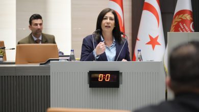 İncirli'nin meclis konuşması