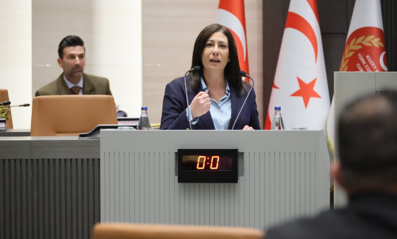 İncirli'nin meclis konuşması
