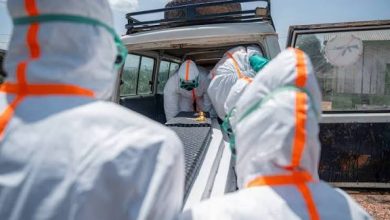 Kenya'da ilk Ebola vakası doğrulandı
