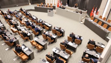 Meclis Genel Kurulu genel seçimlerin 6 Aralık'ta yerel seçimlerle birlikte yapılmasını onayladı