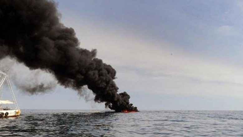 Meksika Körfezi'ndeki petrol kazasından sonra deniz canlıları yüzde 60 azaldı
