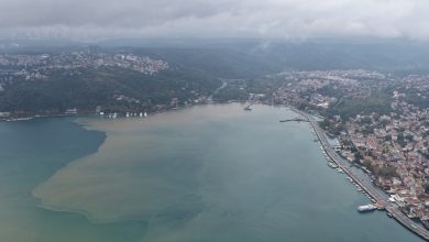 Sarıyer ve Beykoz’da yağışın ardından denizin rengi kahverengiye döndü
