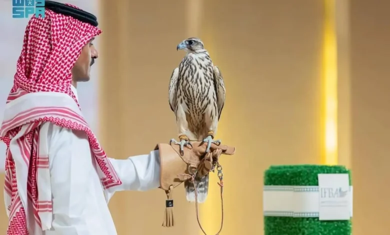 Suudi Arabistan'daki bir müzayedede iki yavru şahin 374 bin riyale satıldı