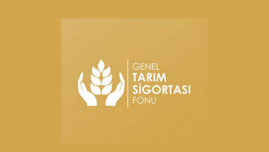 Üreticilere 15 Ekim'e kadar ek beyan süresi